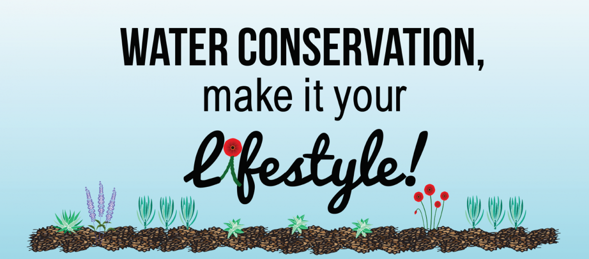 Conservation Lifestyle