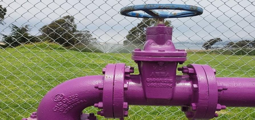 purple valve